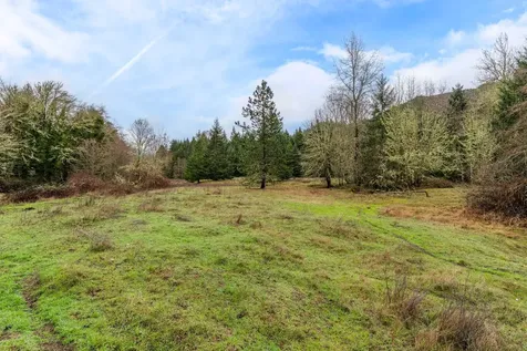 0 Upper Cow Creek Road Azalea OR 97410