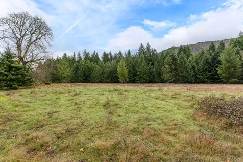 0 Upper Cow Creek Road Azalea OR 97410