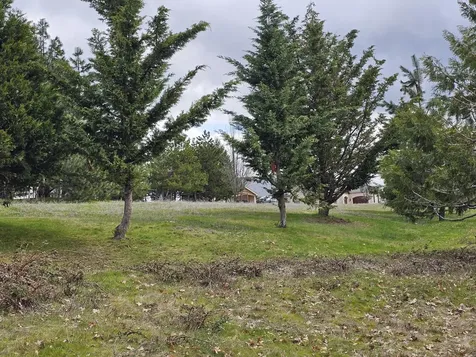 483 Strawberry Lane Ashland OR 97520