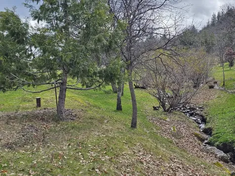 483 Strawberry Lane Ashland OR 97520
