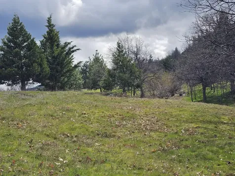 483 Strawberry Lane Ashland OR 97520