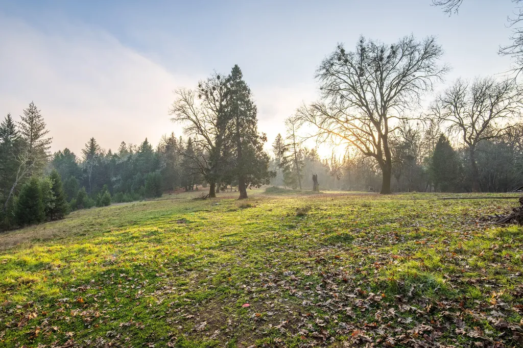 4401 Fish Hatchery Road Grants Pass OR 97527