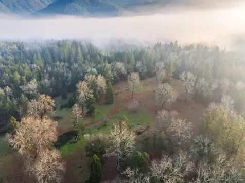 4401 Fish Hatchery Road Grants Pass OR 97527