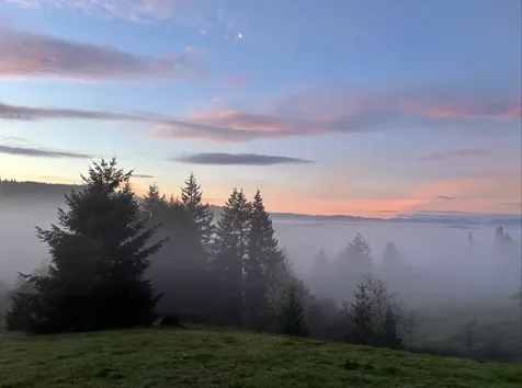 18101 SW Willamina Creek Road Willamina OR 97396