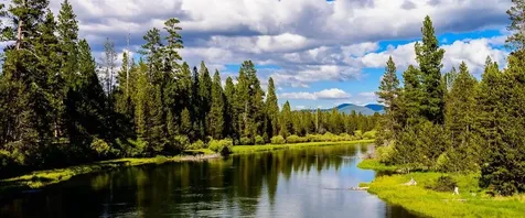 55762 Snow Goose Road Bend OR 97707