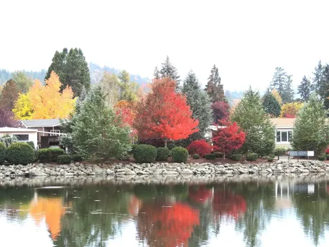 303 Kingsley Drive Grants Pass OR 97526