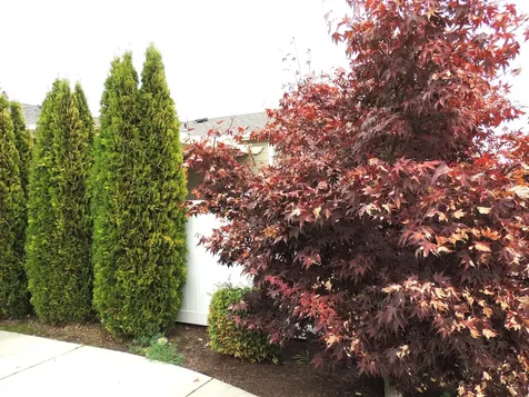 303 Kingsley Drive Grants Pass OR 97526