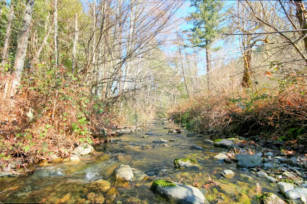 5000 Thompson Creek Road Applegate OR 97530