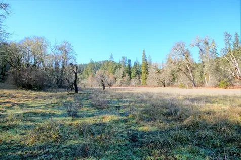 5000 Thompson Creek Road Applegate OR 97530