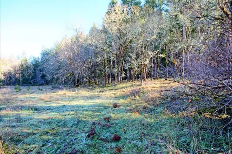 5000 Thompson Creek Road Applegate OR 97530