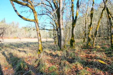 5000 Thompson Creek Road Applegate OR 97530