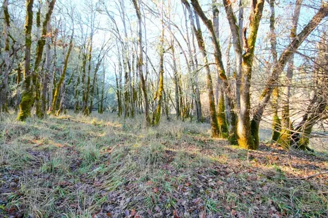 5000 Thompson Creek Road Applegate OR 97530