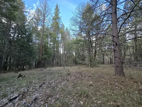 5000 Thompson Creek Road Applegate OR 97530