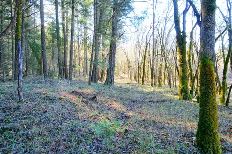 5000 Thompson Creek Road Applegate OR 97530