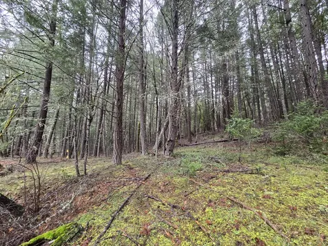 5000 Thompson Creek Road Applegate OR 97530