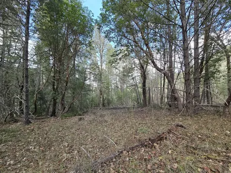 5000 Thompson Creek Road Applegate OR 97530