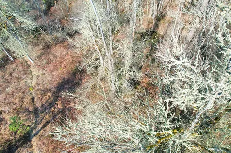 5000 Thompson Creek Road Applegate OR 97530