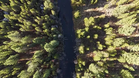 Franks Creek Road Dayville OR 97825