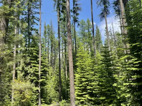 Franks Creek Road Dayville OR 97825