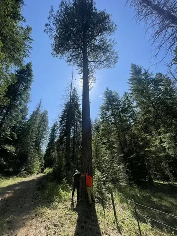 Franks Creek Road Dayville OR 97825