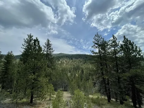 Franks Creek Road Dayville OR 97825