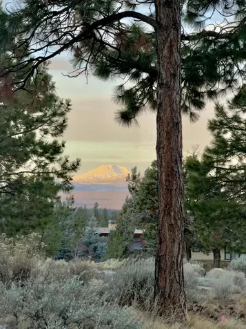 1838 NW Wild Rye Circle Bend OR 97703