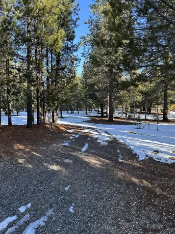 123977 Surveyor Road Crescent Lake OR 97733