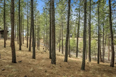 19374 Rim Lake Court Bend OR 97702