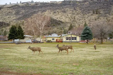 11896 SW Horny Hollow Trail Terrebonne OR 97760