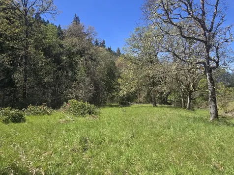 1065 Panther Gulch Road Williams OR 97544