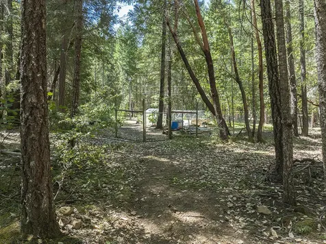 8843 Deer Creek Road Selma OR 97538