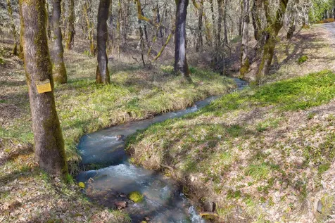 11260 Redwood Highway Wilderville OR 97543