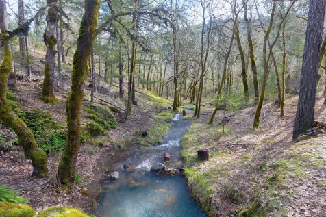 11260 Redwood Highway Wilderville OR 97543