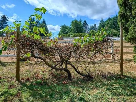 8166 Saghalie Drive S Salem OR 97306