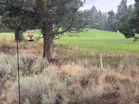 2464 NW Majestic Ridge Drive Bend OR 97703