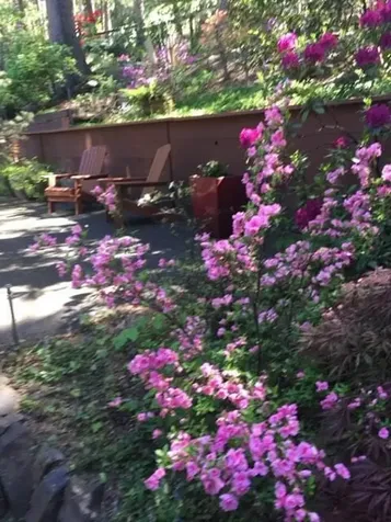 355 Granite Street Ashland OR 97520