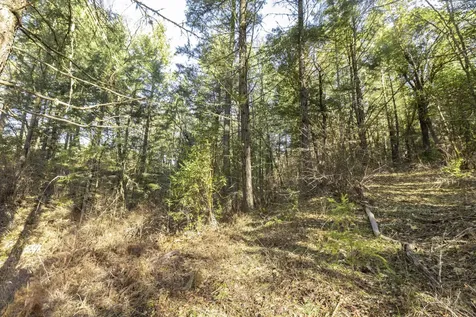 1011 Ingalls Lane Wilderville OR 97543