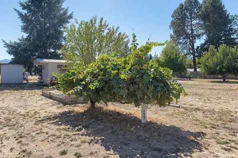 2951 Rogue River Highway Gold Hill OR 97525