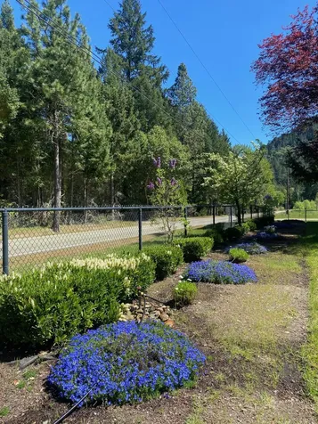 1121 Yeust Road Azalea OR 97410
