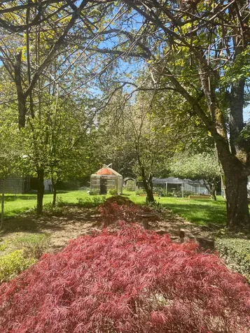 1121 Yeust Road Azalea OR 97410