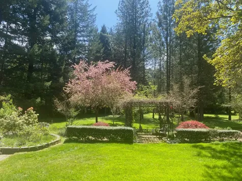 1121 Yeust Road Azalea OR 97410
