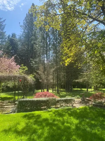 1121 Yeust Road Azalea OR 97410