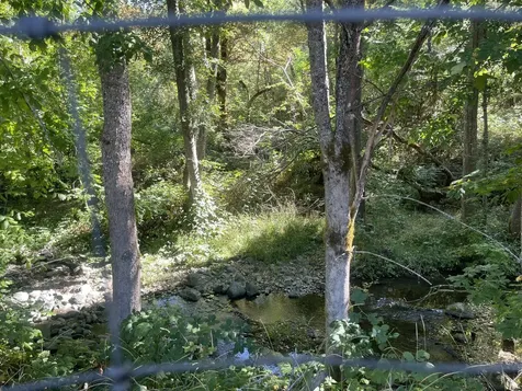 4835 Thompson Creek Road Applegate OR 97530