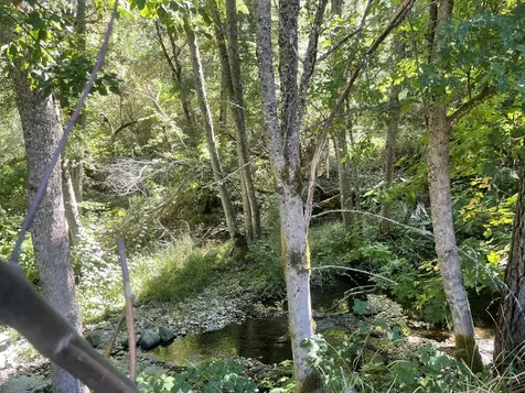 4835 Thompson Creek Road Applegate OR 97530