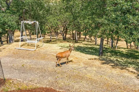 5297 Dark Hollow Road Medford OR 97501
