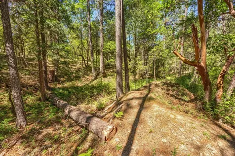 7211 W Evans Creek Road Rogue River OR 97537