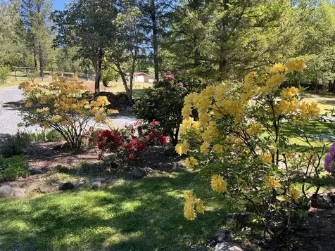 7211 W Evans Creek Road Rogue River OR 97537