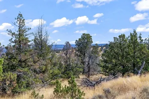 15875 SE Winchester Loop Prineville OR 97754