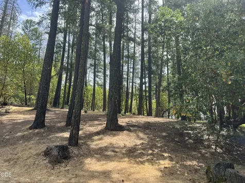 6041 Sterling Creek Road Jacksonville OR 97530