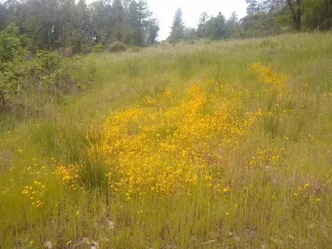 0 Map&taxlot 332e09 600, Highway 62 Prospect OR 97536